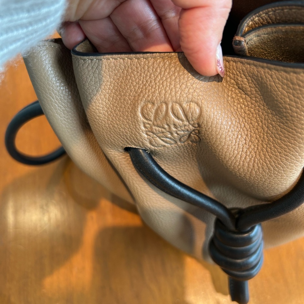 Loewe flamenco handbag